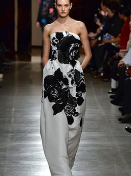 Hoa nở vào mùa lạnh